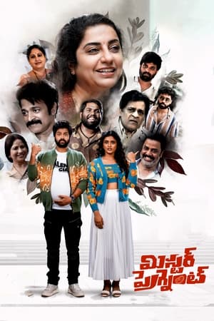 Mr. Pregnant (2023) (Hindi – Telugu) Dual Audio – 480p